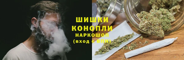 гидропоника Горно-Алтайск