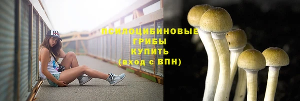 гидропоника Горно-Алтайск