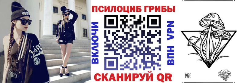 Псилоцибиновые грибы Psilocybine cubensis  Купить где  Гусиноозёрск 