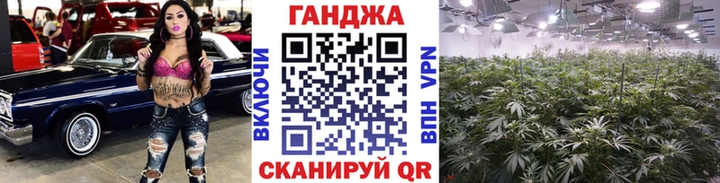 Бошки марихуана Amnesia  Купить  Гусиноозёрск 
